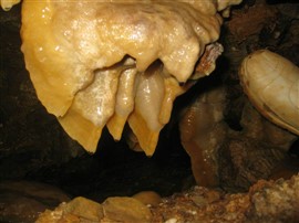 غار دارینو