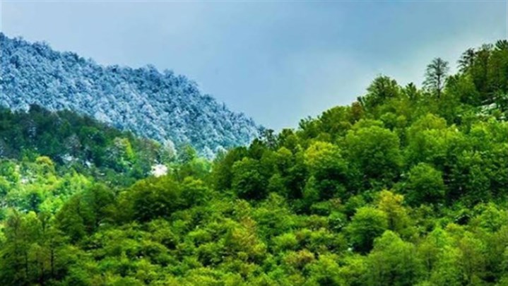 پیمایش جنگلی تنگه سر