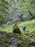 پیمایش فیلبند به دیوا