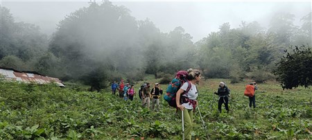 پیمایش فیلبند به دیوا