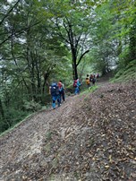 پیمایش فیلبند به دیوا