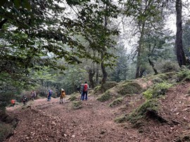 پیمایش فیلبند به دیوا