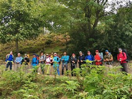 پیمایش فیلبند به دیوا