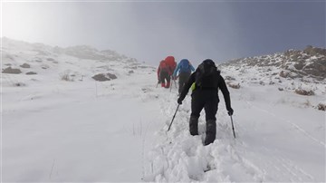 قله پلنگ‌چال