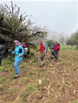 پیمایش فیلبند به دیوا