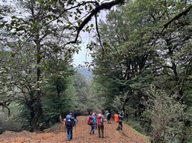 پیمایش فیلبند به دیوا