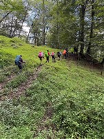 پیمایش فیلبند به دیوا