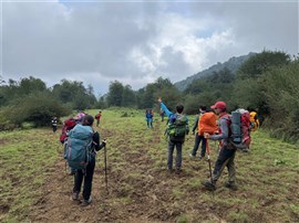 پیمایش فیلبند به دیوا