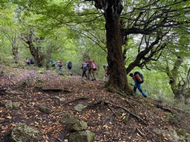 پیمایش فیلبند به دیوا