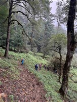 پیمایش فیلبند به دیوا