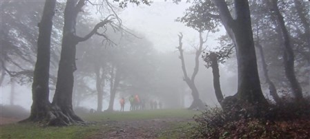 قله آسمان‌سرا