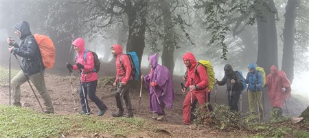 قله آسمان‌سرا